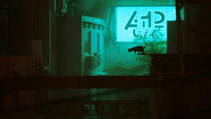Stray - PlayStation 4