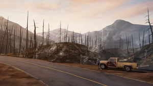 Life is Strange Before The Storm Limited Edition - PlayStation 4