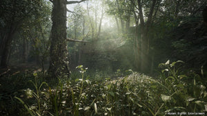 METAL GEAR SOLID Δ: SNAKE EATER TACTICAL ED – PS5