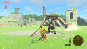 The Legend of Zelda Tears of the Kingdom - For Nintendo Switch 2